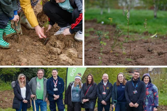 The planting took place earlier this month