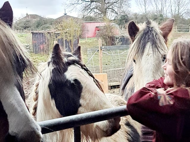 "My daughter Maisey with our three ponies, they all bring me lots of joy"