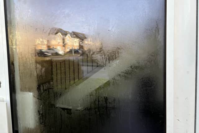 Condensation at the door of the flats in Hooke Close. Image: National World