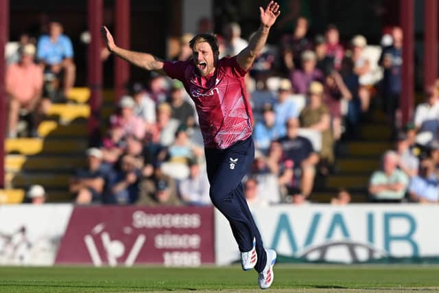 David Willey (photo by Shaun Botterill/Getty Images)