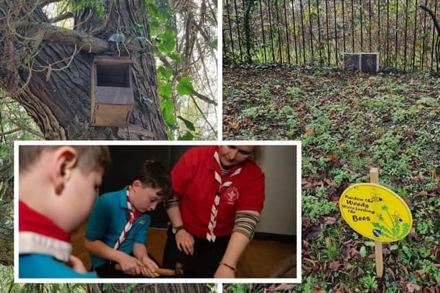 The 2nd Raunds Beaver Colony has brought a burst of biodiversity to Raunds Cemetery