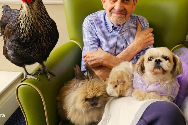 Elm Bank Care Home in Kettering welcomes Michelle's Petting Party.