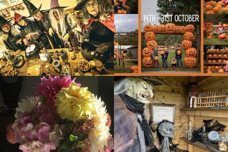 There is plenty to do in the county this spooky season...