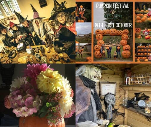 There is plenty to do in the county this spooky season...