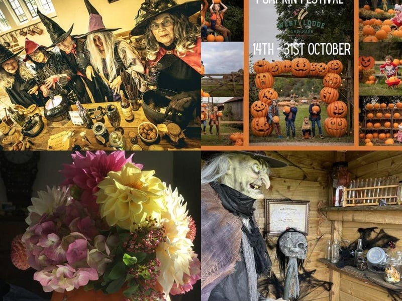 There is plenty to do in the county this spooky season...