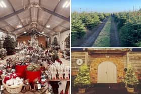 Welford Christmas Tree Farm, in Northampton Road, has been run by Will Miles for three decades and last year the site underwent a major transformation.
