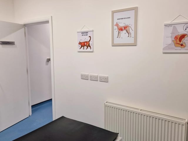 Stoley's Vets opening