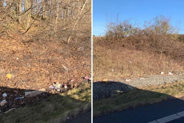 Photos taken of litter on the A45 by chair of Northants Litter Wombles, Sally Romain.