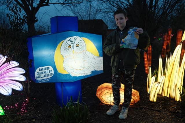 Saul Francolini celebrates next to his winning lantern design