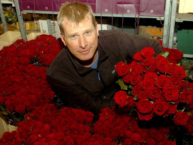 Wayne Elliott pictured with the mass of roses for Valentines day. Kettering, 2009