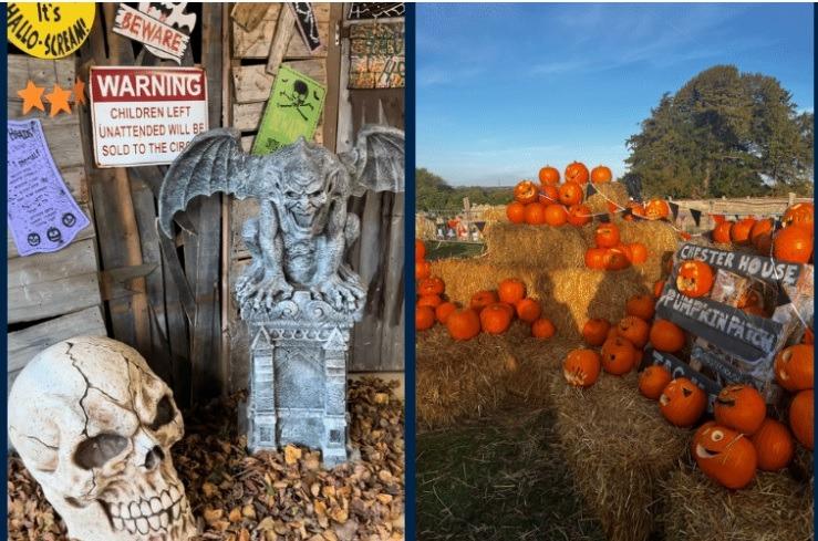 Chester house has pick your own pumpkin, carve or paint your pumpkin, spooky crafts, spooky walkthrough, spooky games and a pumpkin trail on offer during half term from October 21 to October 29.
There is also a Halloween House on October 31.
Visit the Chester House website to find out more.