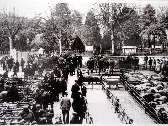 Wellingborough's Cattle Market was held on what is now the Market Place
