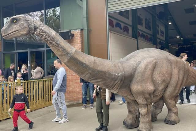 Visitors to Corby had better watch out! Image: Corby Town Shopping and Willow Place