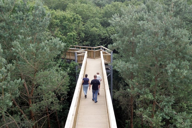Salcey Forest Tree Top Walkway in 2006