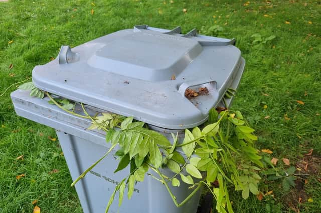 Green waste bins will be charged at £40 for 12 months