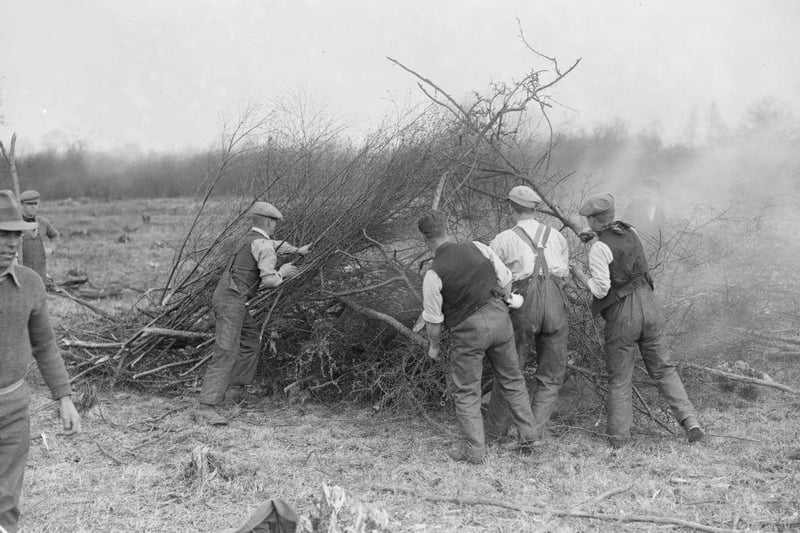Burning brushwood at a Ministry of Labour training camp, Kettering, in April 1929.