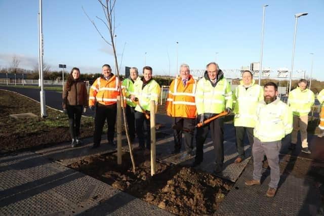 MPs Tom Pursglove and Peter Bone planting a Rowan tree in the centre of the roundabout