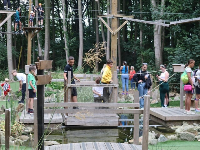 Iron Pit Woods summer fun day