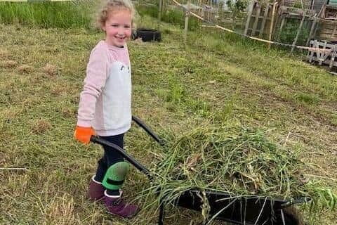 Penny gets down to work on her allotment