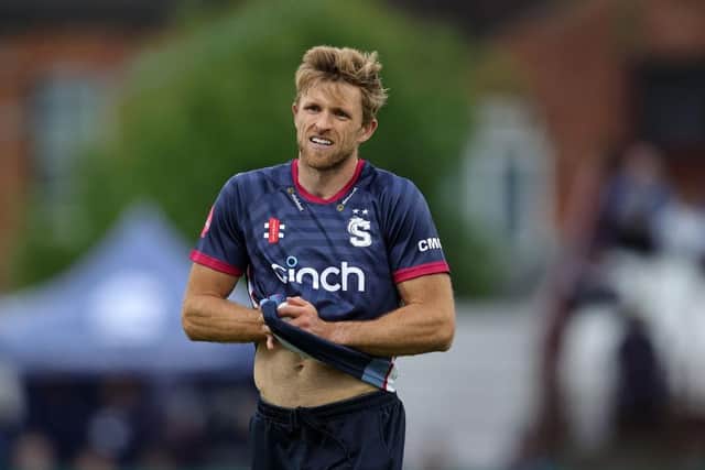 It was a mixed campaign for Steelbacks skipper David Willey (Picture: David Rogers/Getty Images)