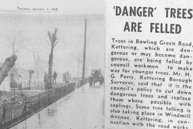 1968 'danger trees felled' Every Picture Tells a Story by Dave Clemo
