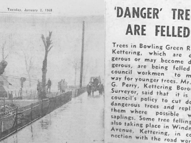 1968 'danger trees felled' Every Picture Tells a Story by Dave Clemo