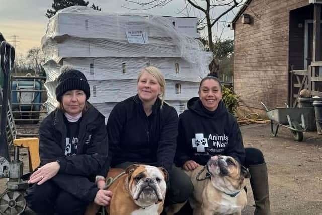 A huge pallet of dog food has been donated to Animals In Need
