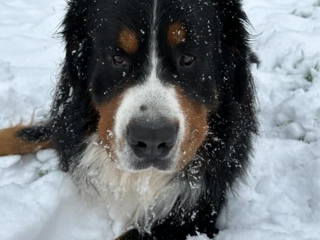 Did you get my good side?