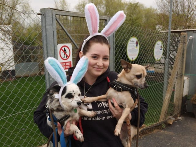 There was lots of fun to be had at the spring fair