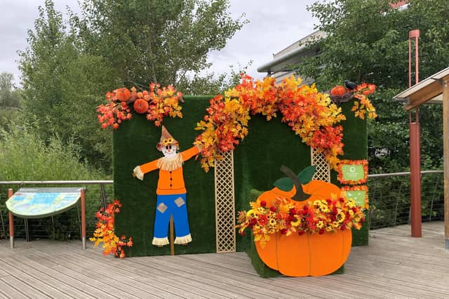 There's plenty going on at Rushden Lakes this month