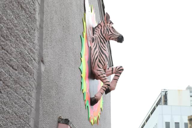 The Bean Hive's zebra/National World