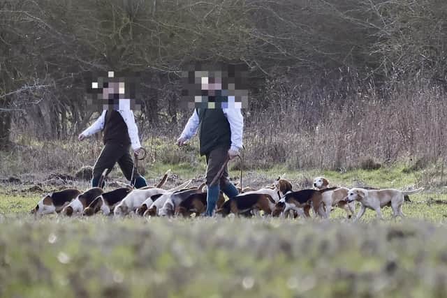 The Pipewell Foot Beagles/UGC
