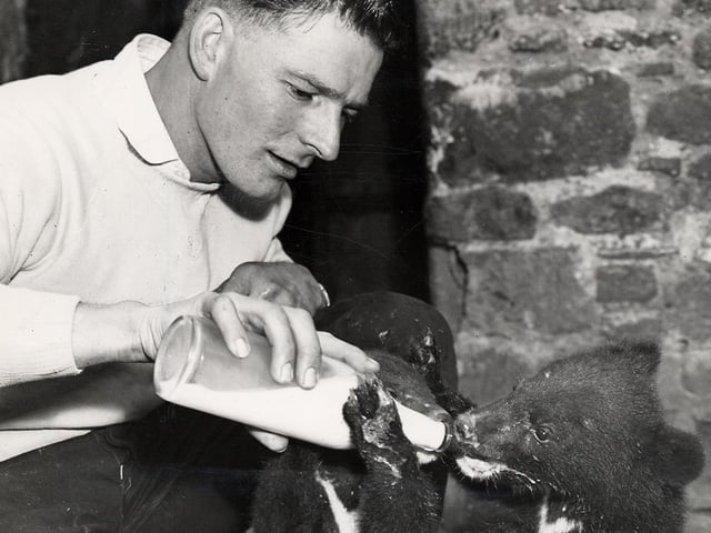 Feeding time at Wellingborough Zoo