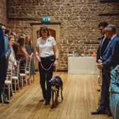 Owner of Pamper My Poochie, Jules Guy, chaperoning the happy couple's dog Maddie on their big day. Photo: 1st Class Photography.