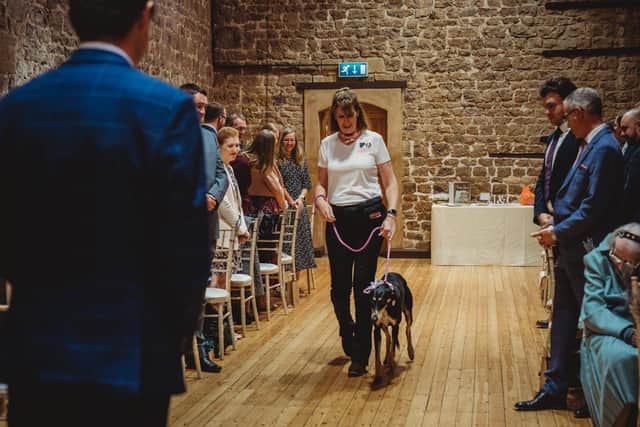 Owner of Pamper My Poochie, Jules Guy, chaperoning the happy couple's dog Maddie on their big day. Photo: 1st Class Photography.