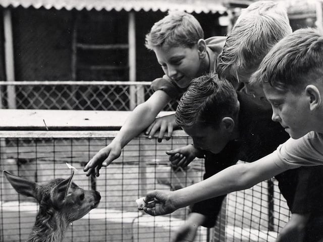 Wellingborough Zoo