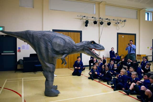 Your school could meet Reggie the T-Rex