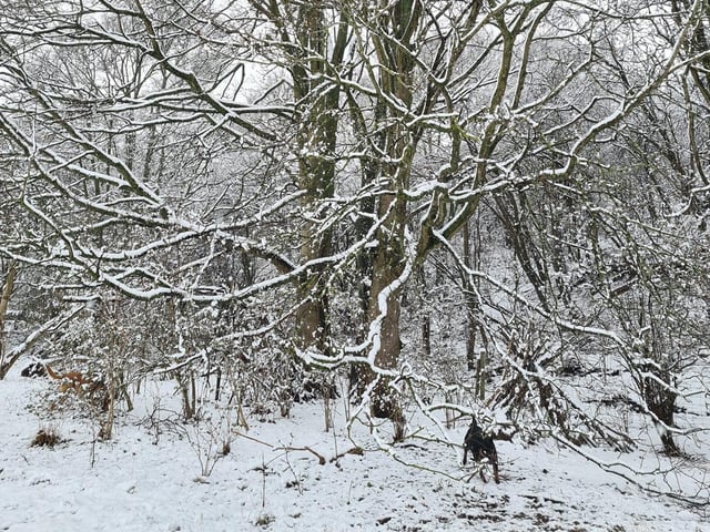 Carrie-Amber Towsey's beautiful picture from Twywell