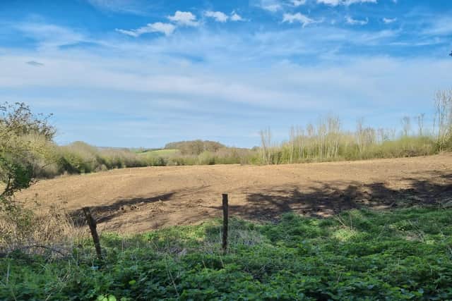 The field after it was bulldozed