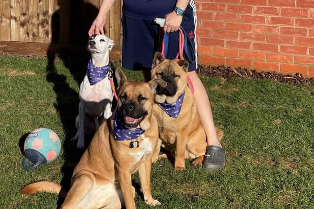 Anjali with Bailey, Kodi and Nala