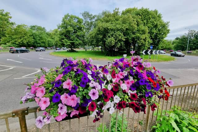 Flowers at the hospital hill roundabout.