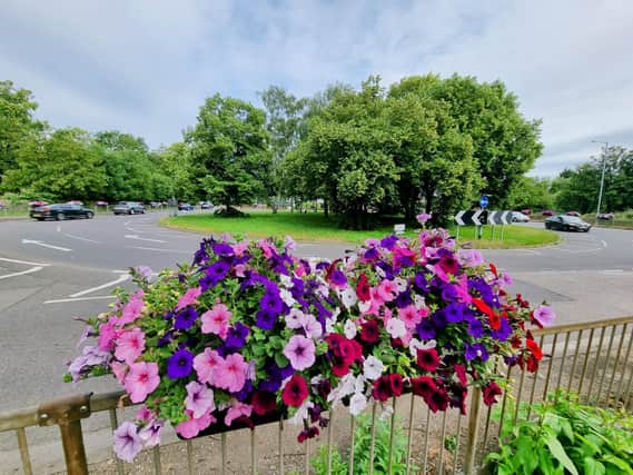 Flowers at the hospital hill roundabout.
