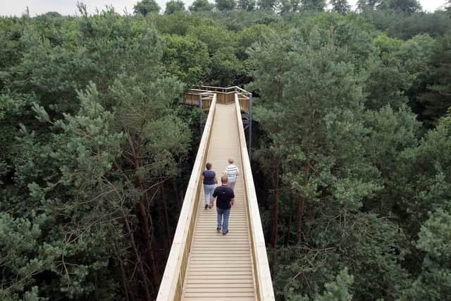 The Tree Top Walkway is a quarter-mile route that rises to 20 metres above the forest floor, and at its height offers a view above the trees. It opened in 2005 before closing in 2018. It has now been announced that it will not reopen.