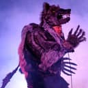 Stewart Lee shares the stage with a tough-talking werewolf from the dark forests of the subconscious (photo: Steve Ullathorne)