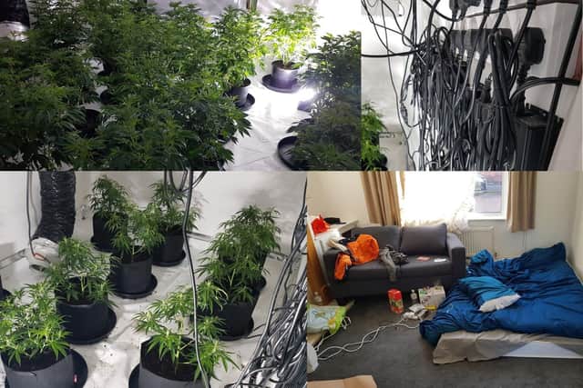 The cannabis factory in Barnwell Street, Kettering. Credit: Kettering Police Team