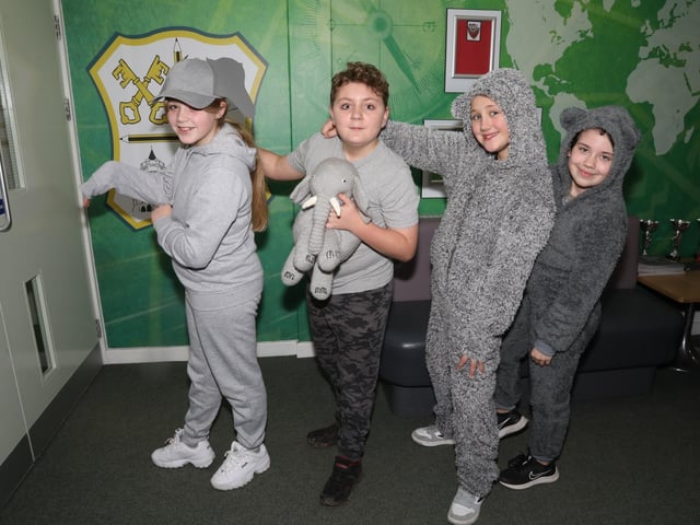 Elephants from Year 6