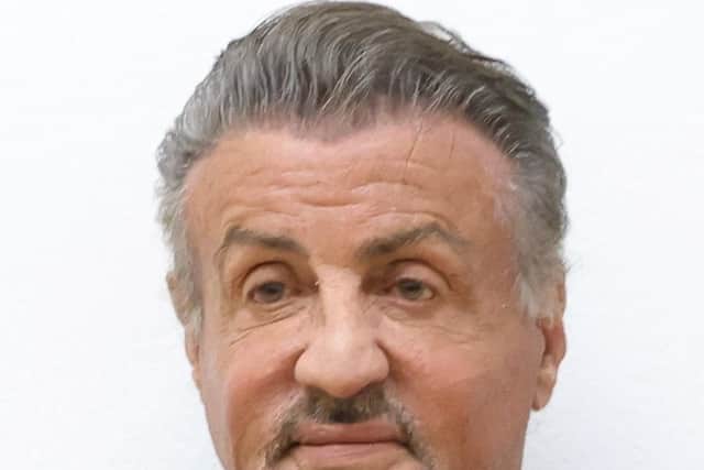 Sylvester Stallone broke water regulations (photo: Getty Images)