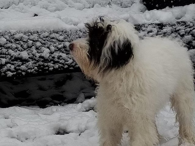 Not too sure about this weather!