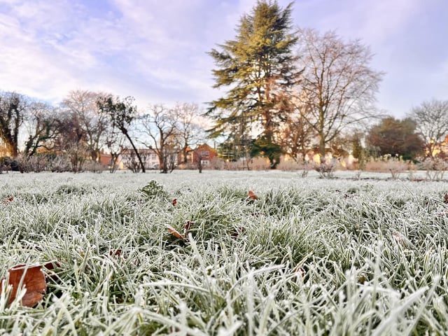 Swanspool Gardens, Wellingborough. Picture by Caren Johnston-Gorman