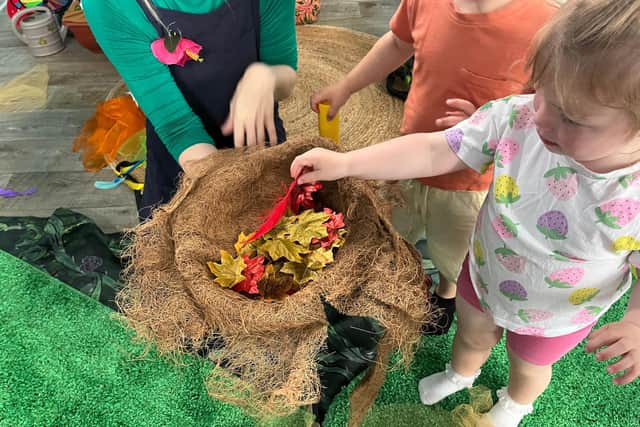 The Wonder Garden